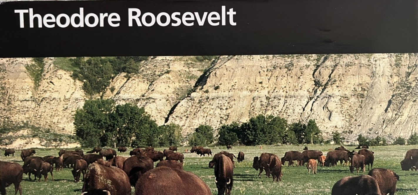 Vintage 2004 THEODORE ROOSEVELT - ND  NATIONAL PARK SERVICE UNIGRID BROCHURE/MAP