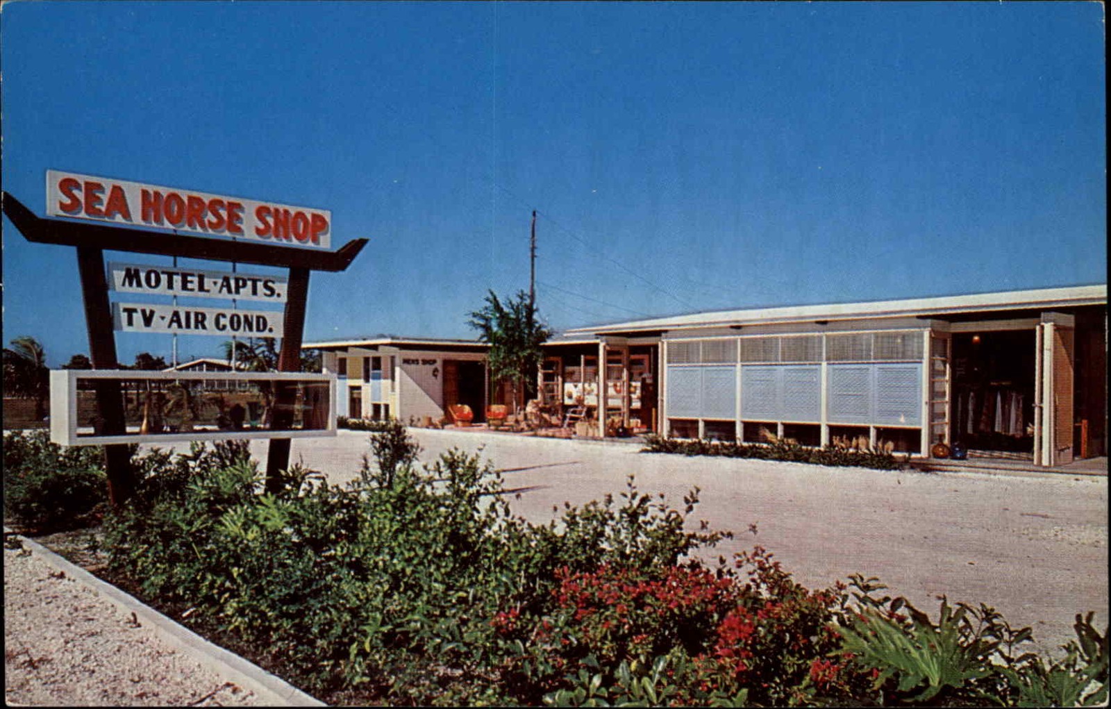 Sanibel Island FL Florida Sea Horse Motel Gift Shop c1950-60s Vintage Postcard