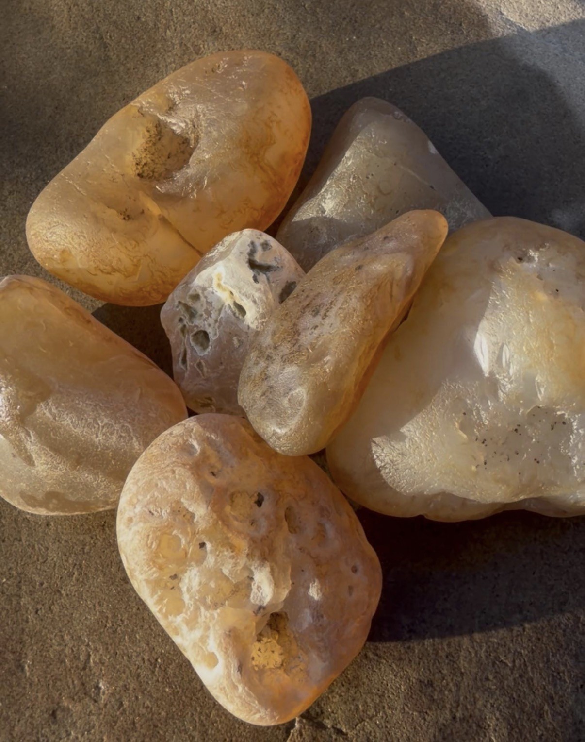Yellowstone River Golden Beauties Montana Agate Pack Lot Hand Picked 2 lbs