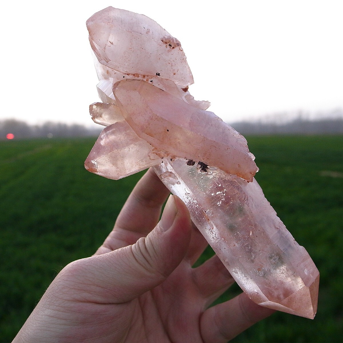 MUSEUM Superb  GEM Elestial Angel PINK Lemurian Quartz Cluster-Angel Wings