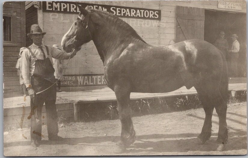 Vintage 1910s Real Photo RPPC Postcard Man with Very Large Horse / Street Scene