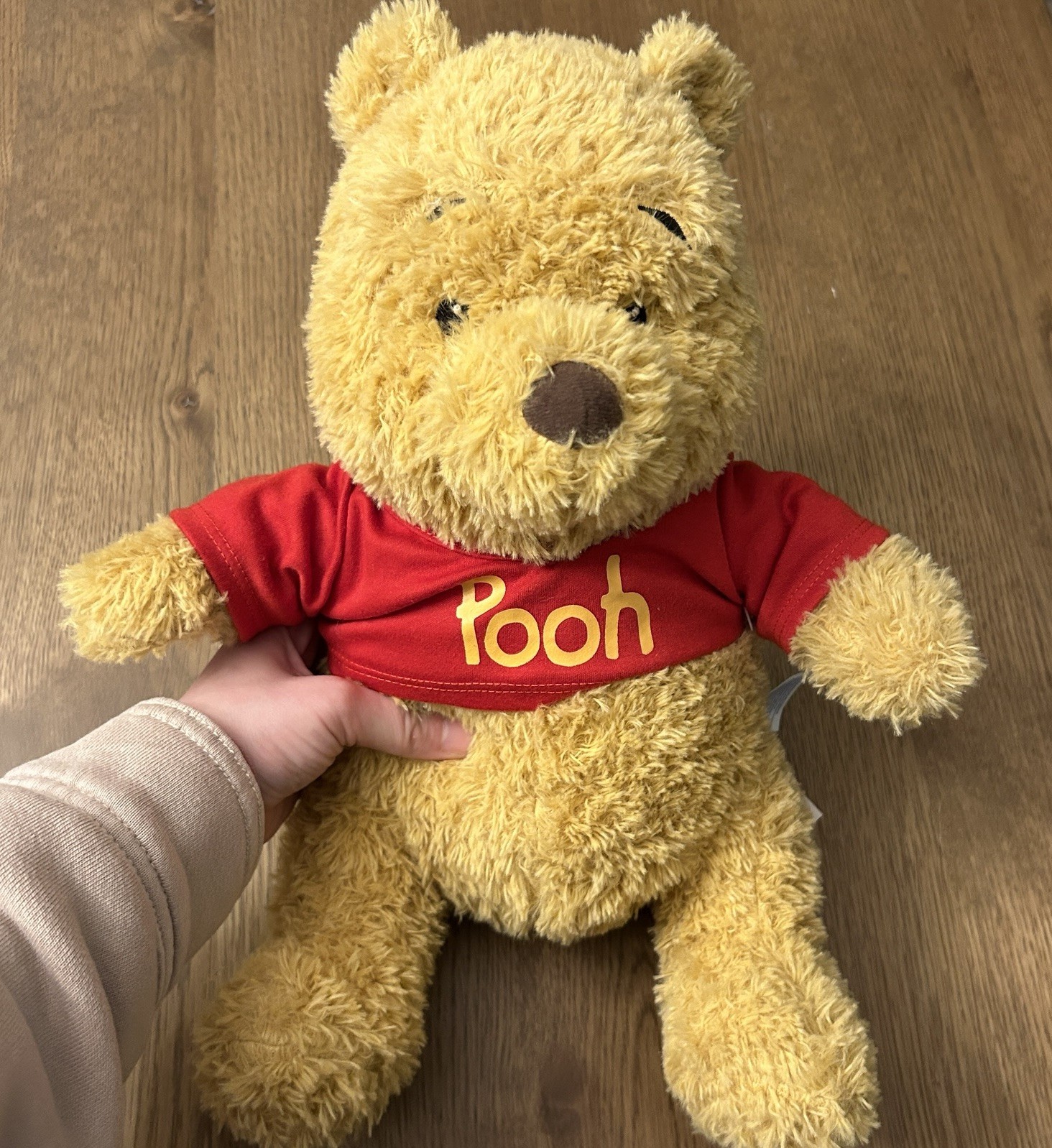 NWT 2019 Disney Winnie The Pooh Build-A-Bear Limited Edition Collectible 