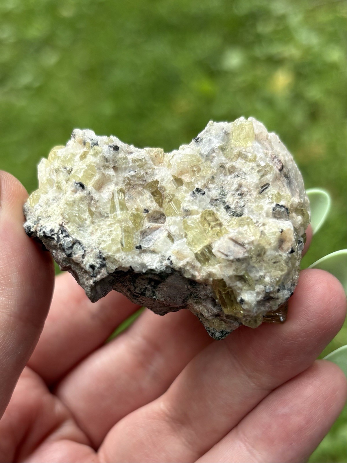 Natural Apatite In Quartz- Beautiful 2.3” Green Apatite Crystals In Raw Quartz
