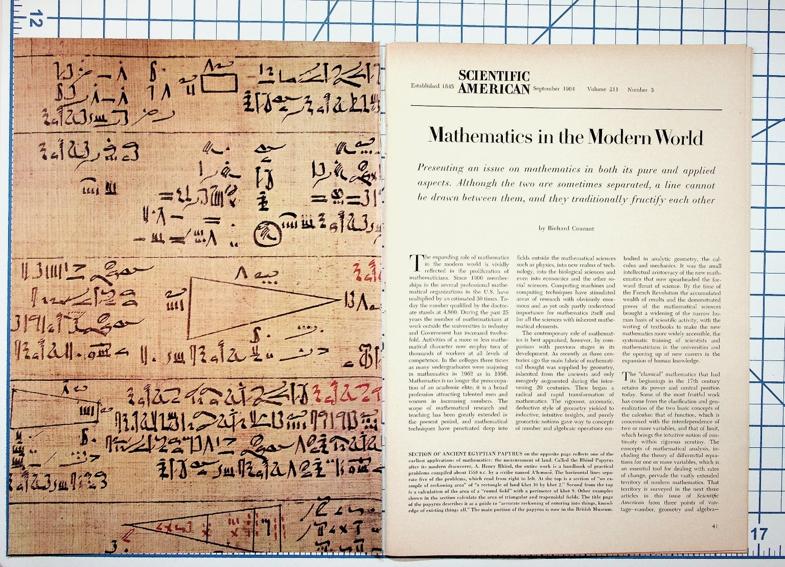 1964 Scientific American \