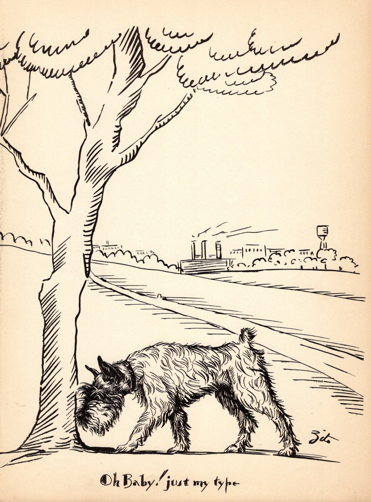 Antique Schnauzer Print 1930s Humorous Schnauzer Illustration Art by Zito 7119p
