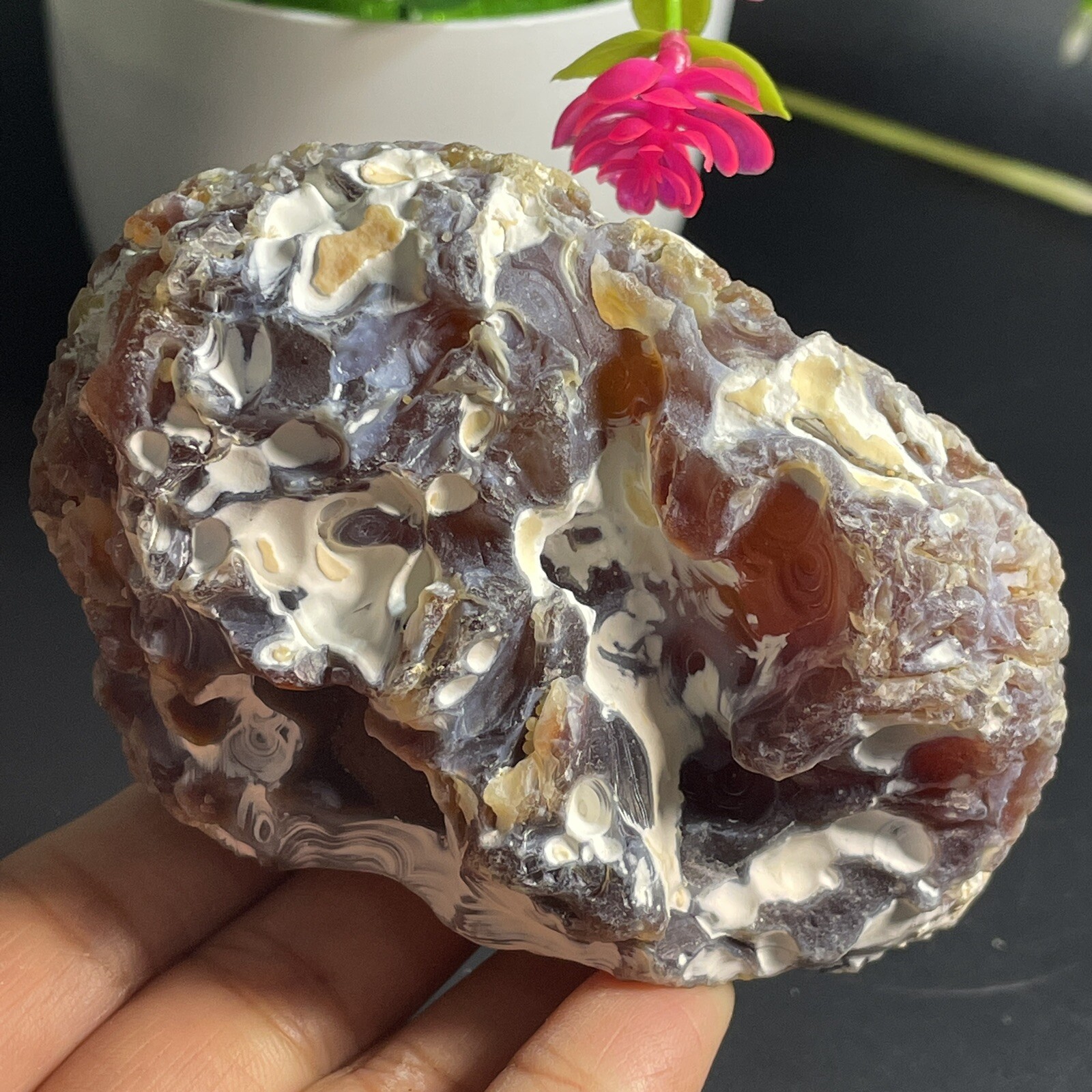 332G Natural Bonsai Suiseki-Natural Gobi Agate Eyes Stone-Stunning Viewing DB2