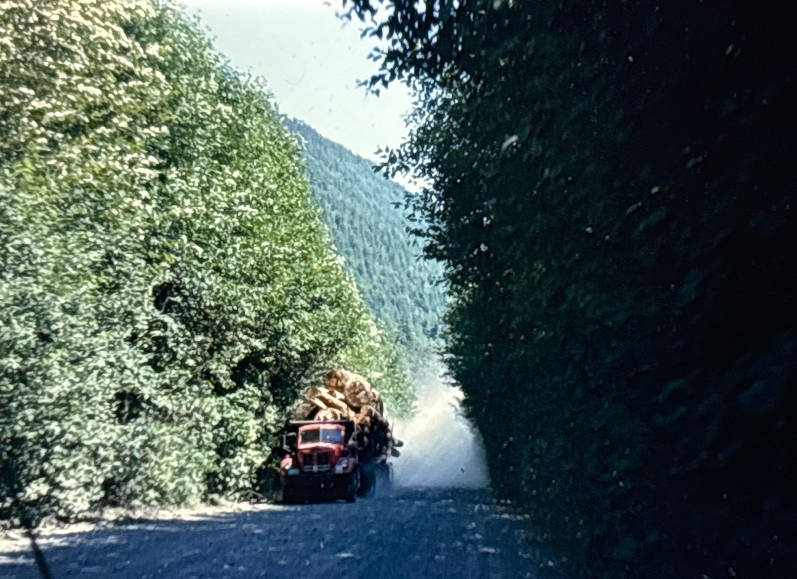Orig 1962 Slide Logging Truck Hauling Timber Washington State H45
