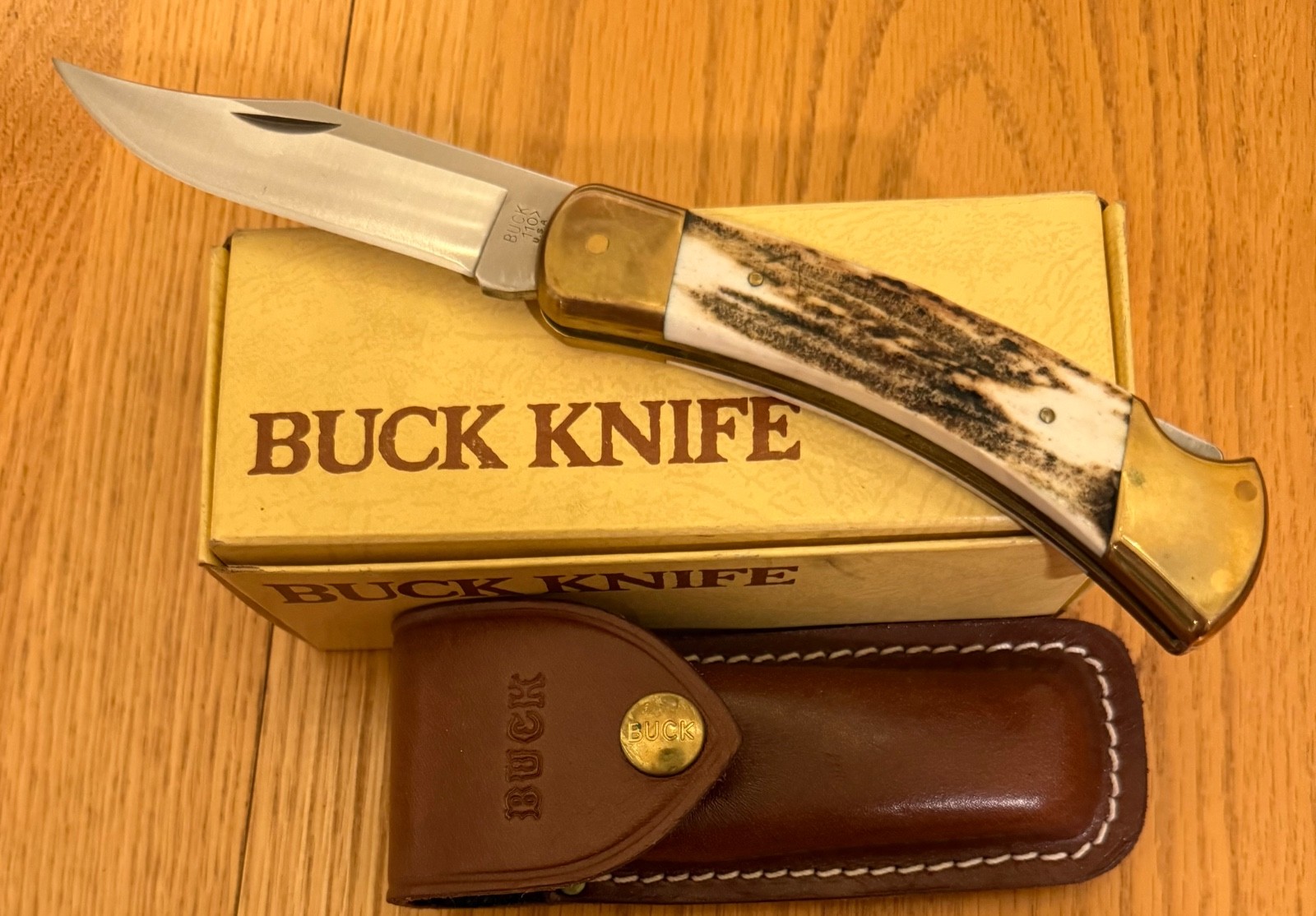 STUNNING VINTAGE BUCK STAG 110 KNIFE NEVER USED IN BOX     N5