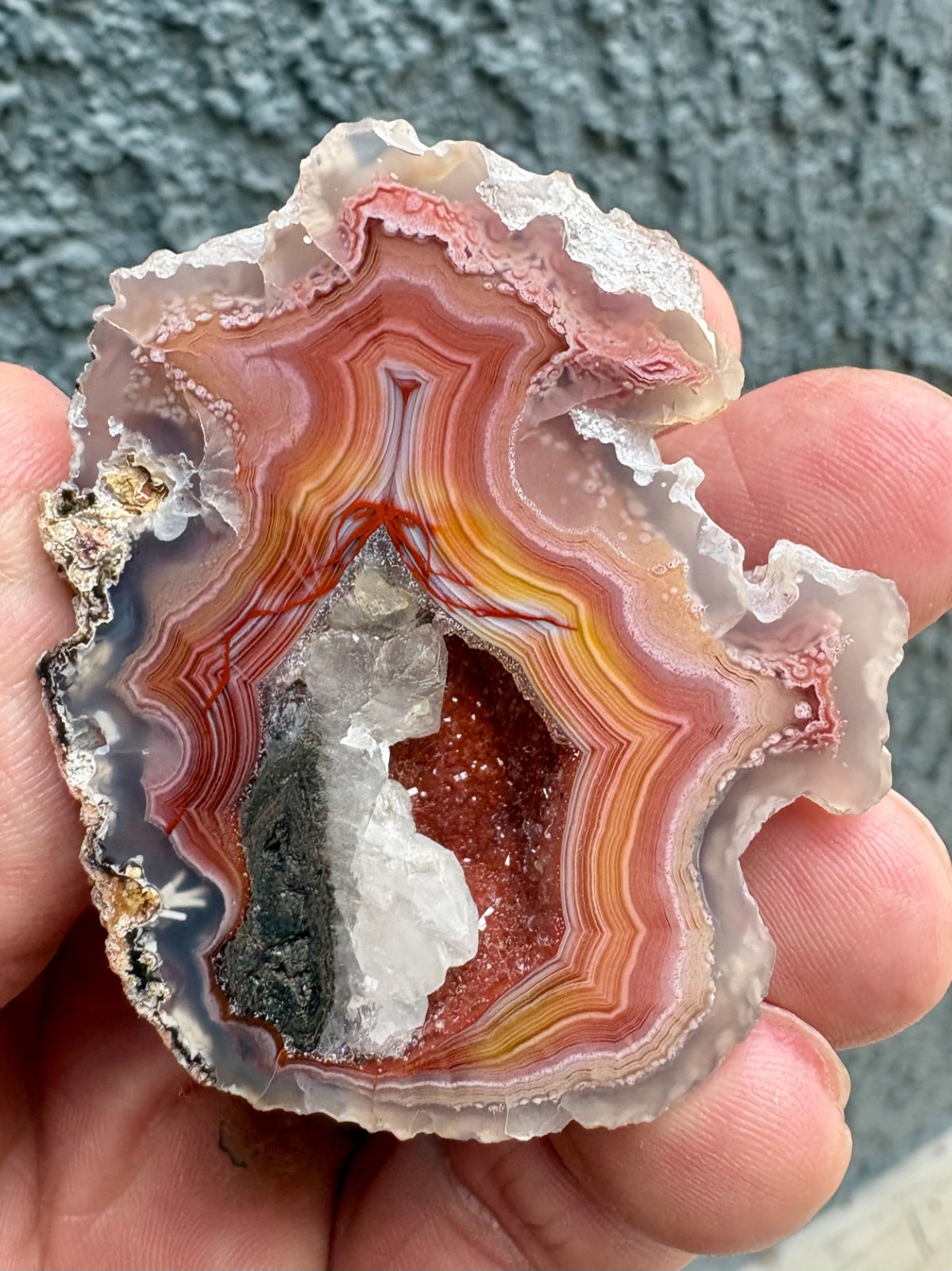Stunning Polished Laguna Agate Specimen - Red Druzy - Chihuahua, Mexico