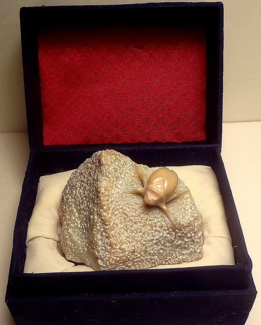 📌Unique c1950's CARVED soapstone SCARAB BEETLE in orig. CUSTOM BOX -PAPERWEIGHT