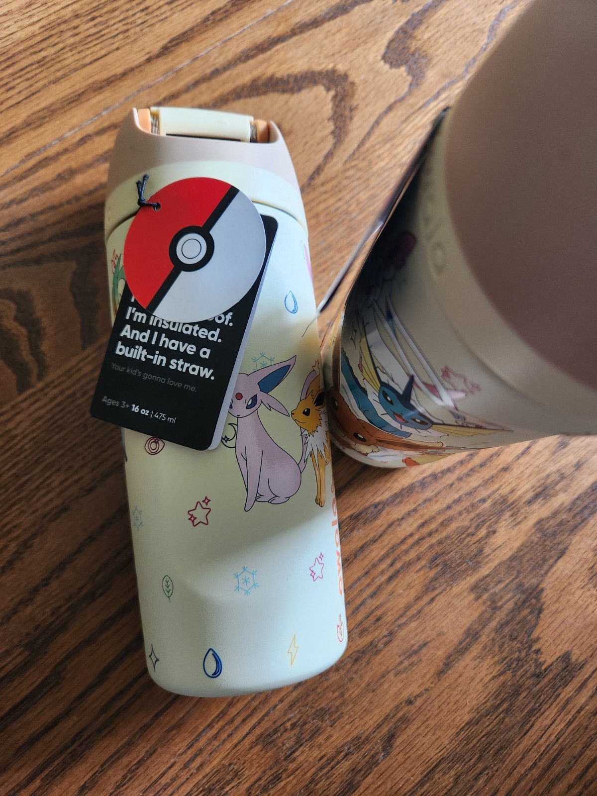 Pokemon Owala Bottle Eevee Evolutions 