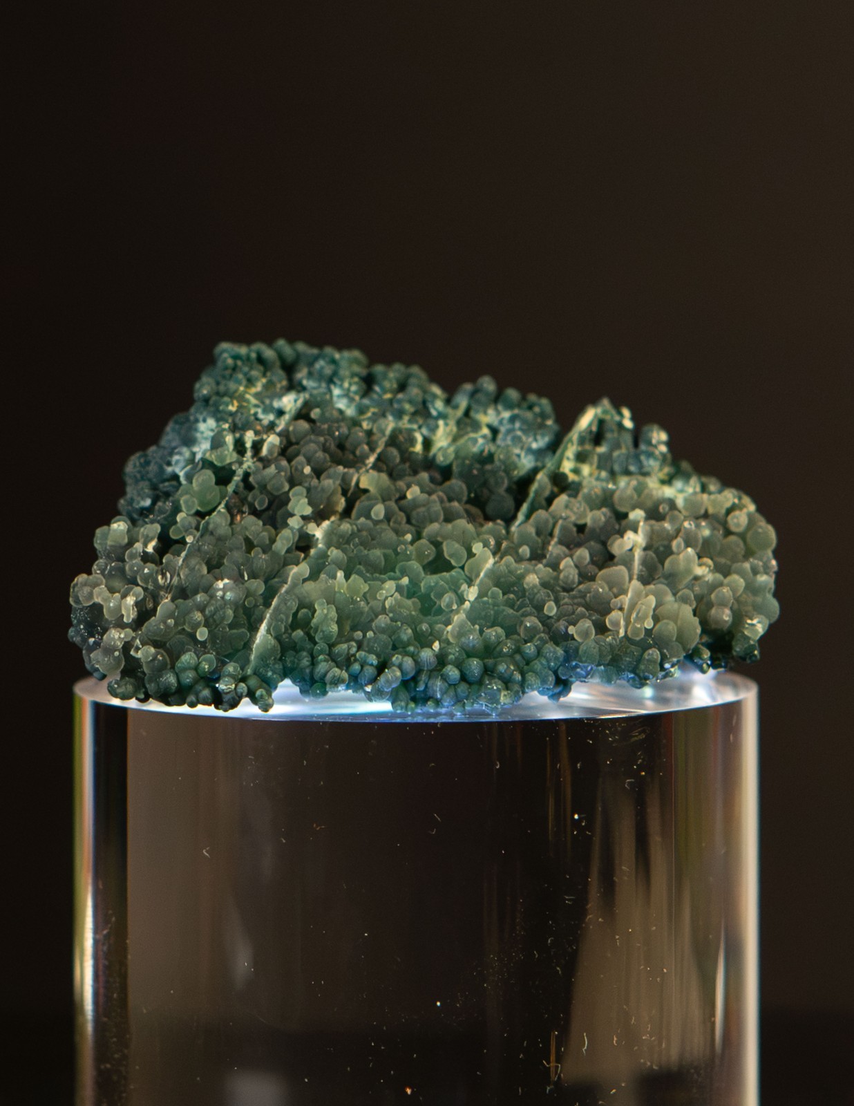 Rare Dark Green Grape Agate Raw Specimen Matrix 2
