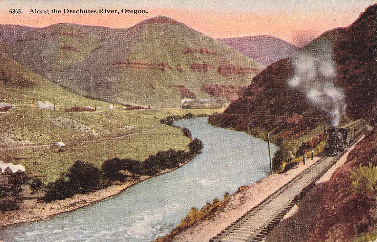 Postcard Along the Deschutes River in Oregon Antique DB Scene c1908