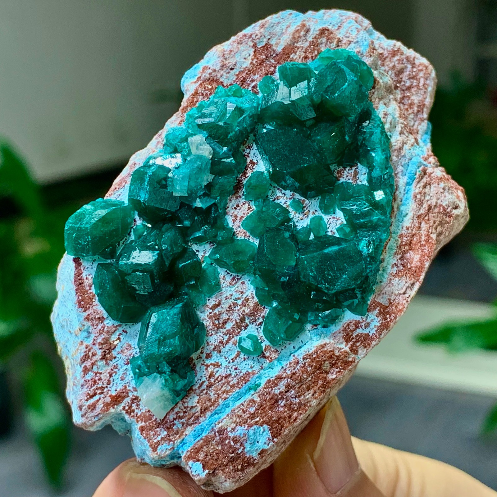 123G Natural green dioptase emerandine gemstone cluster crystal specimen