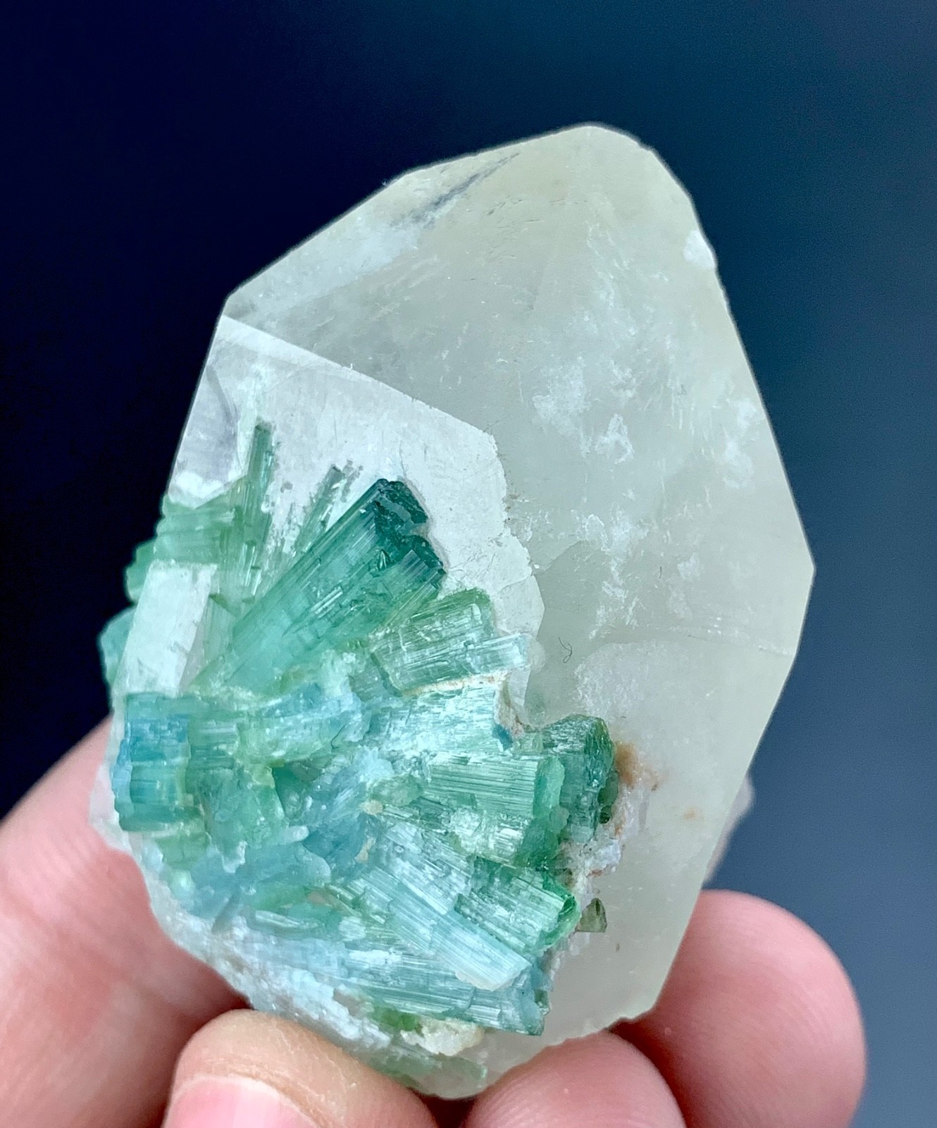 51-gram Tourmaline Crystal Specimen with Quartz from Afghanistan