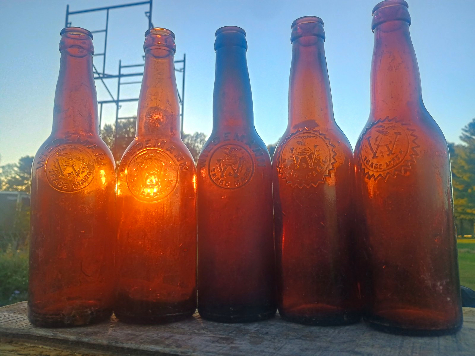 Lot of 5 Antique Weidemann Newport Kentucky KY bottles 