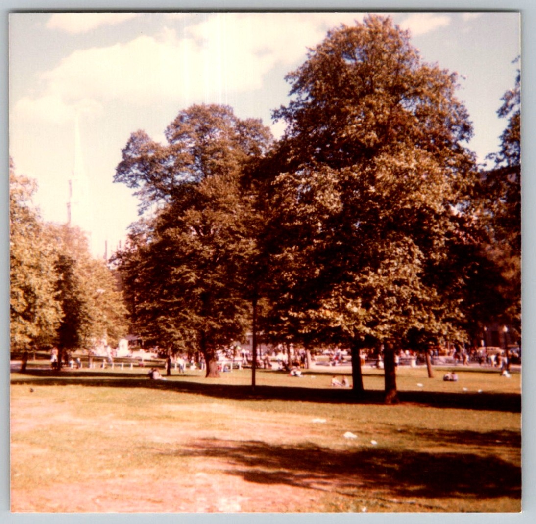 Vtg Color Snapshot Boston Common Public Park Large Trees People Relaxing Lawn