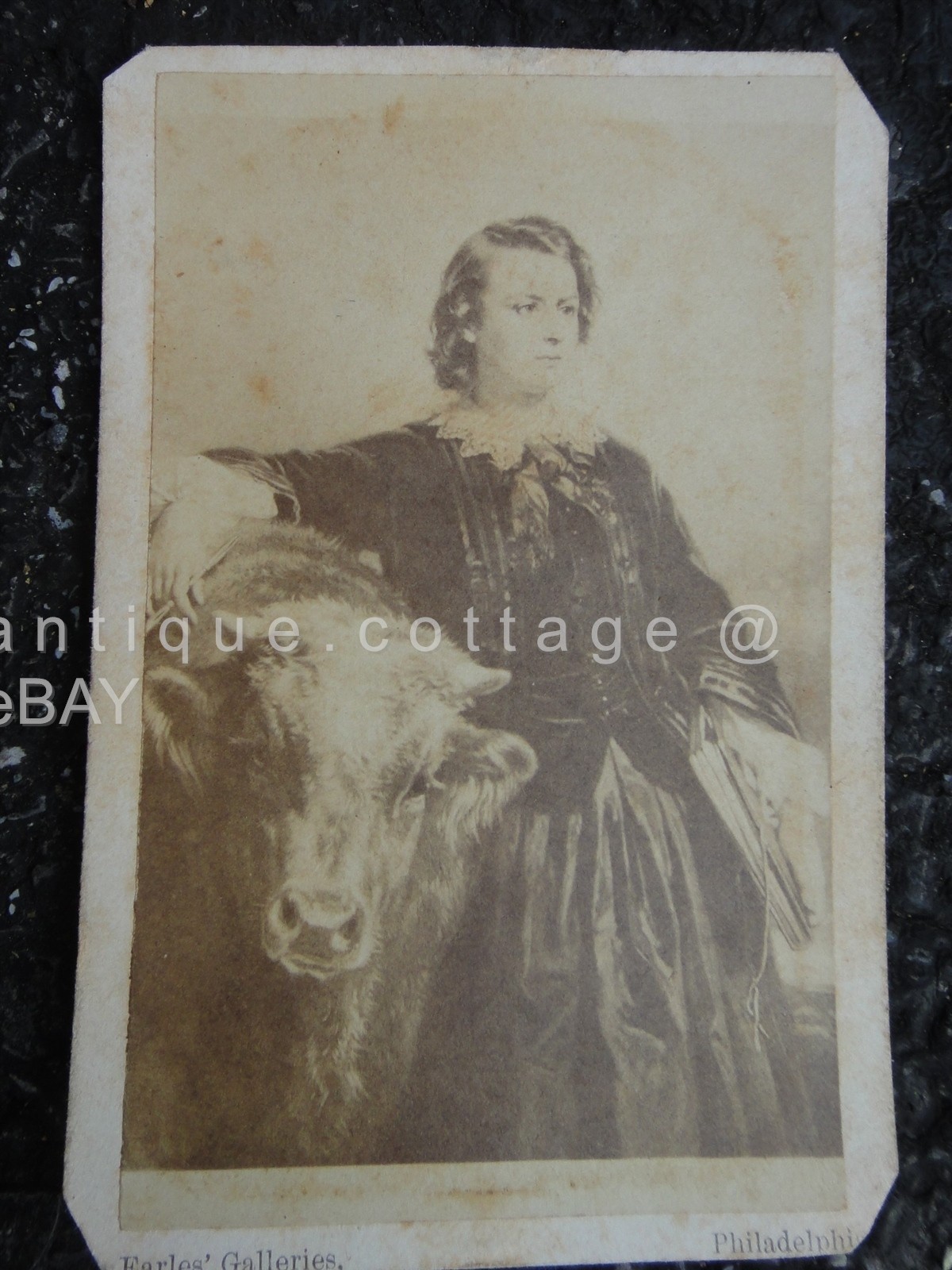 antique FRENCH Painter Sculptor ROSA BONHEUR (1822-1899) CDV PHOTOGRAPH w COW 