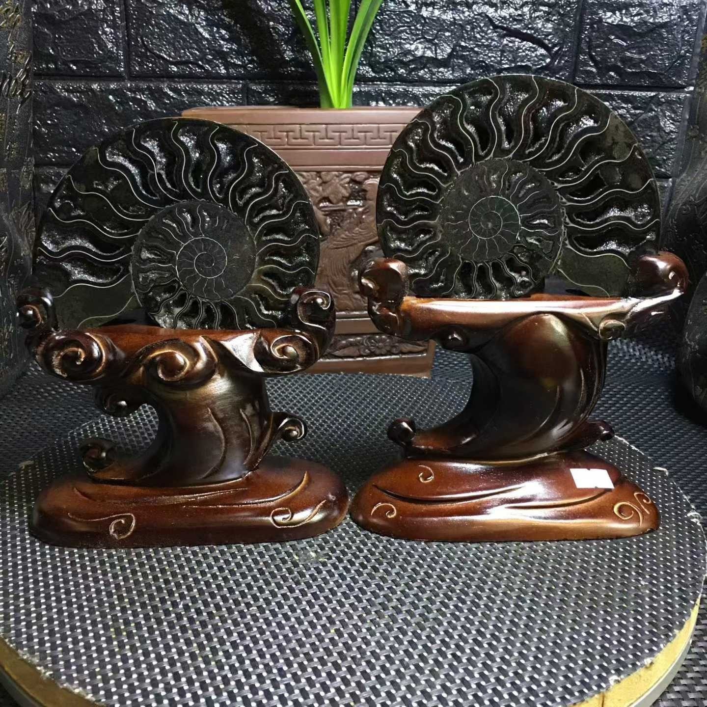 3.13LB A pair of Natural ammonite fossil conch Crystal specimen healing+stand