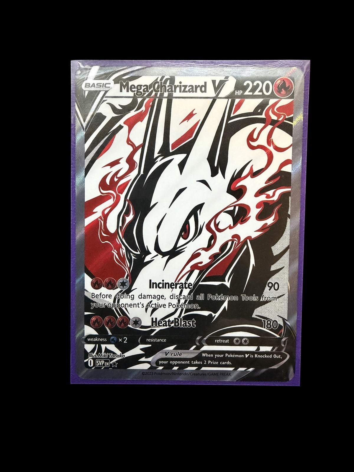 Pokemon Mega Charizard V Non-TCG Art Card Display