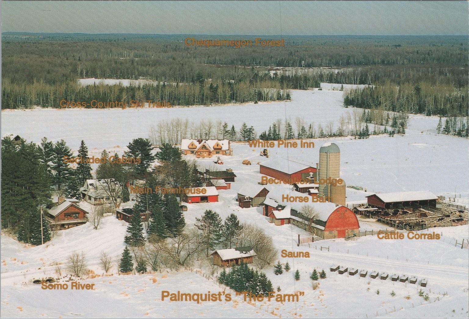 Palmquist\'s The Farm Brantwood WI Winter Lodge Cross-Country Ski Trails Postcard