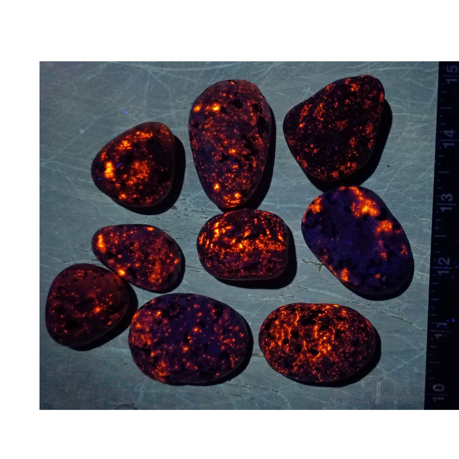 Fluorescent Sodalite Stones 9 Piece Lot 1 lb Galaxy Pattern Lake Michigan Wi 