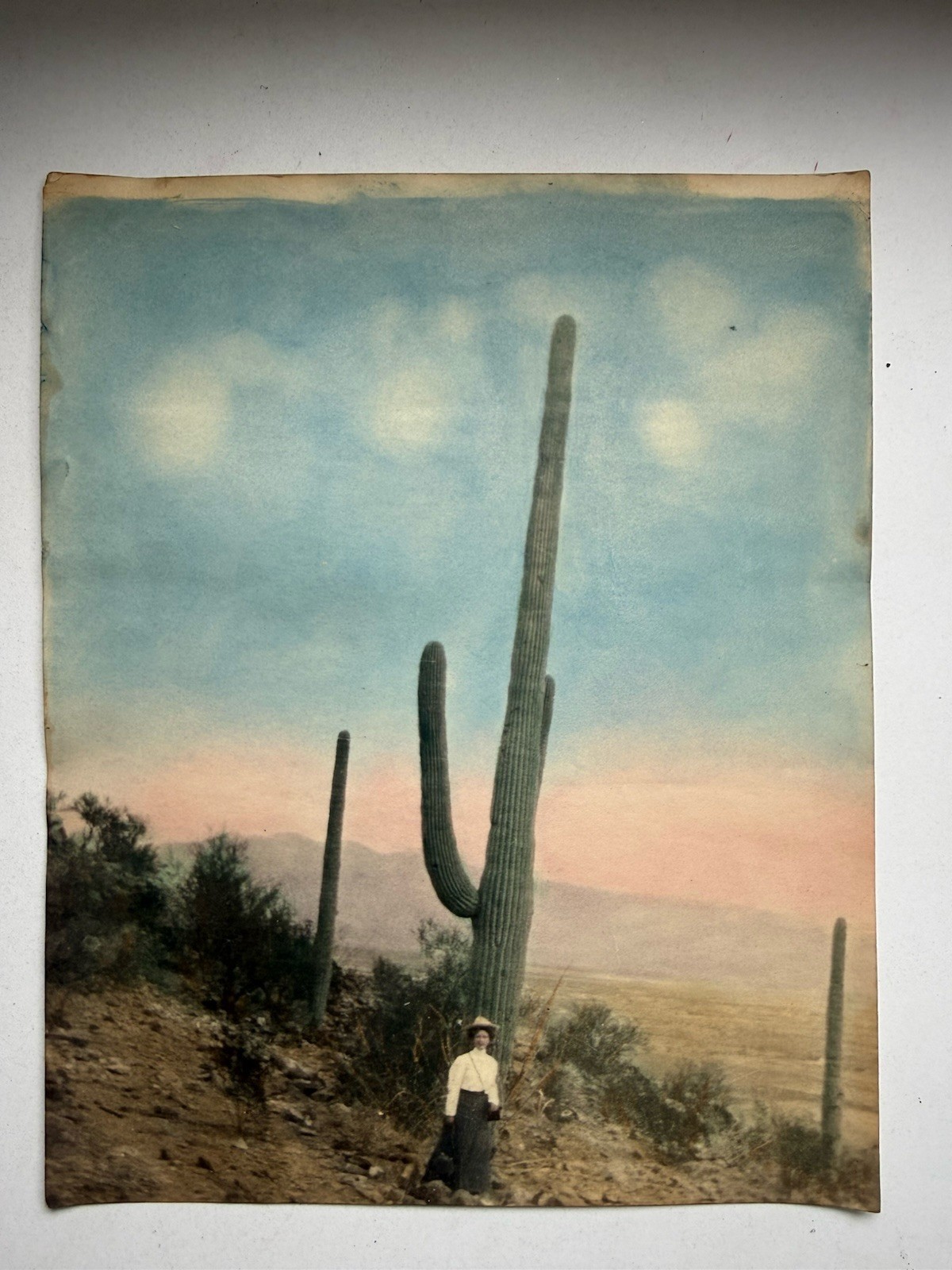 1919 Antique Hand Colored Arizona Giant Saguaro Cactus Photo Woman 8x10