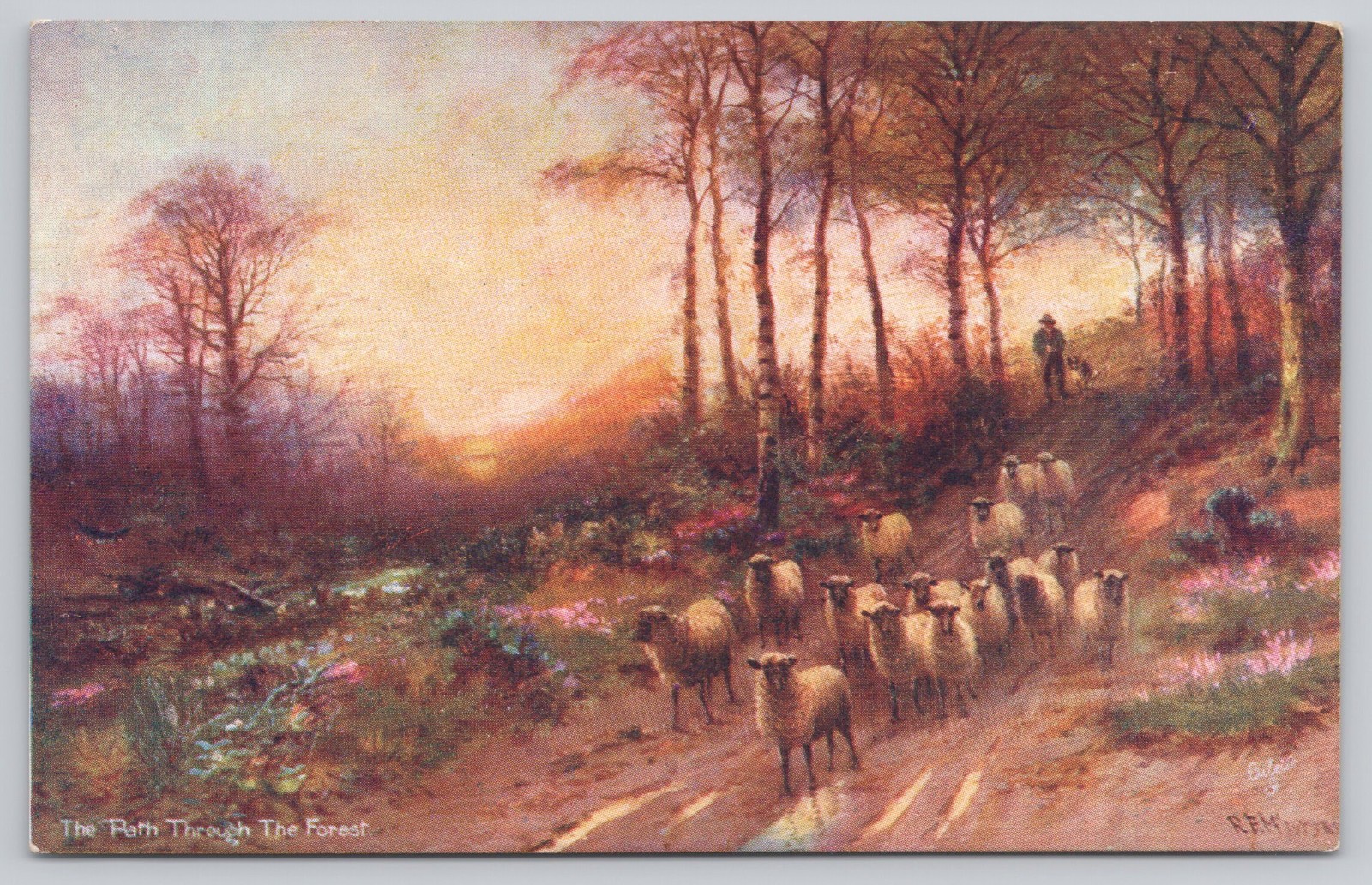 Raphael Tuck Oilette The Path Through The Forest Sheep Postcard