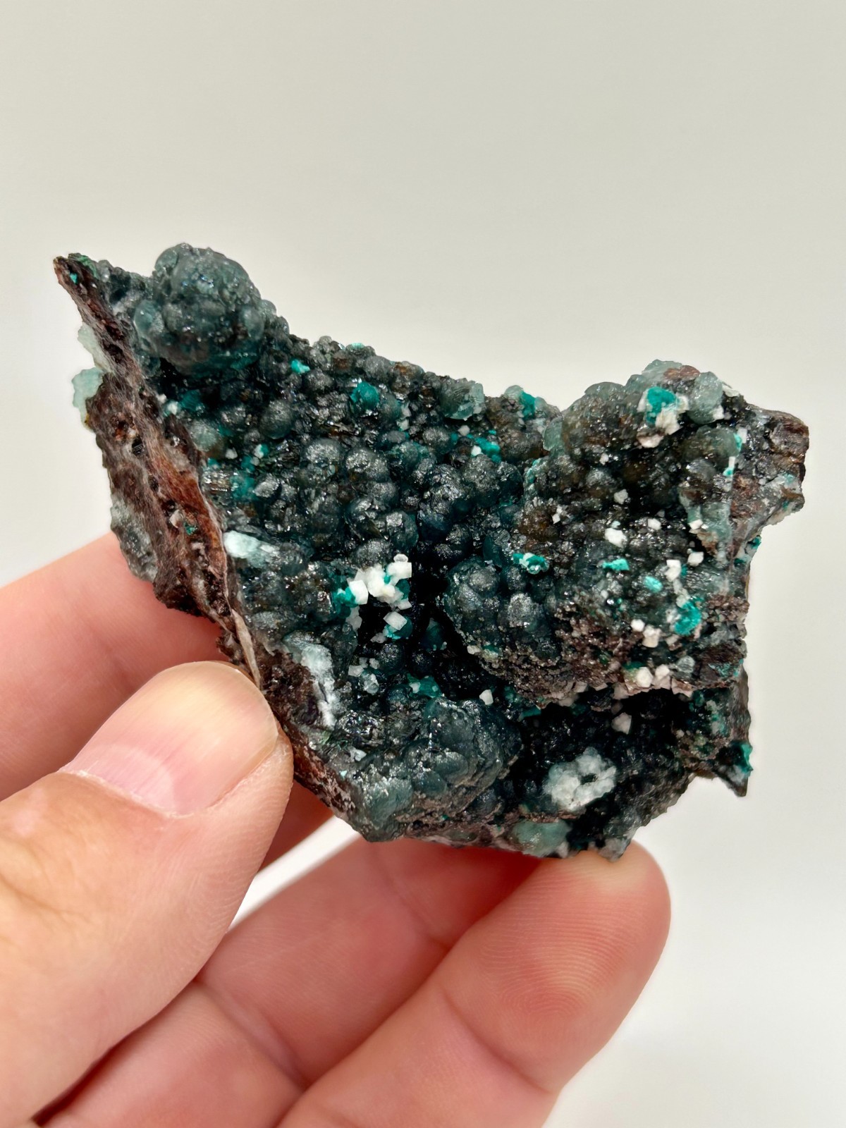 Rare Superb Gem Blue Willemite & Rosasite, Tsumeb Mine, Namibia