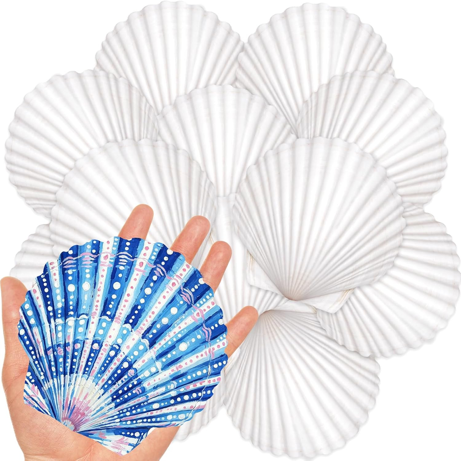 20Pcs 4-5 Inch Large Scallop Shells for Crafts, Natural White Scallop Shells for