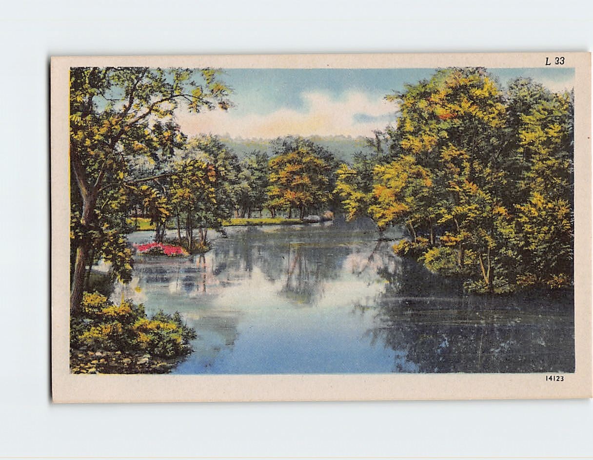 Postcard Lake Trees Nature Scenery