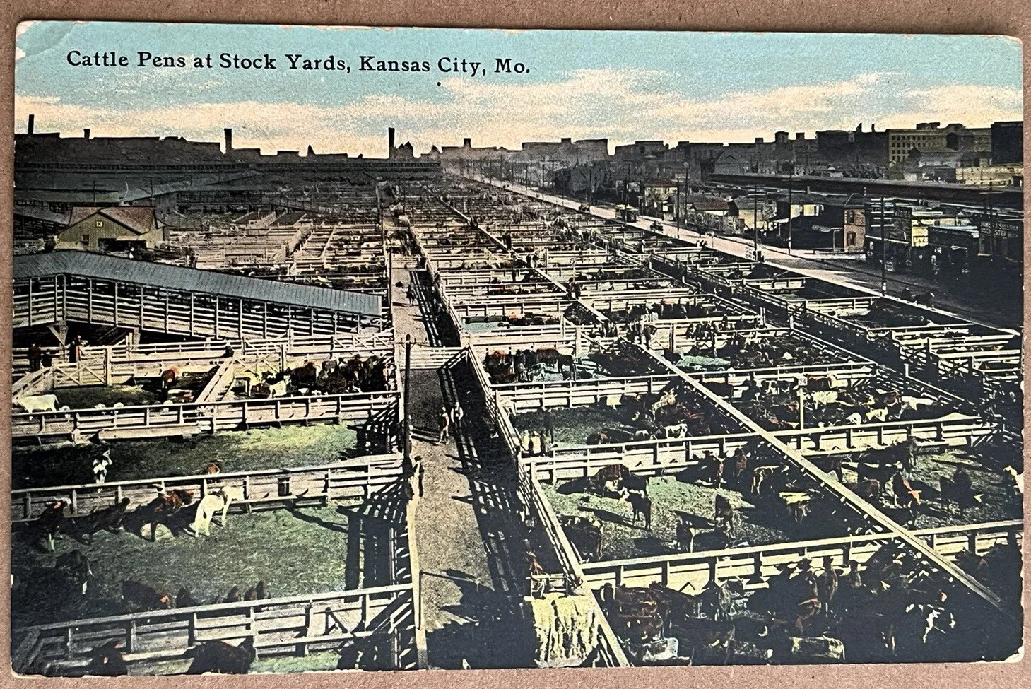 Kansas City Missouri Cattle Pens Stock Yards Antique Postcard c1910