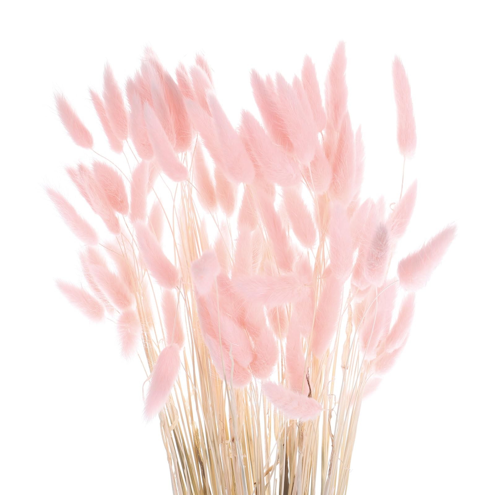 MECCANIXITY 120pcs Dried Rabbit Bunny Tails 24