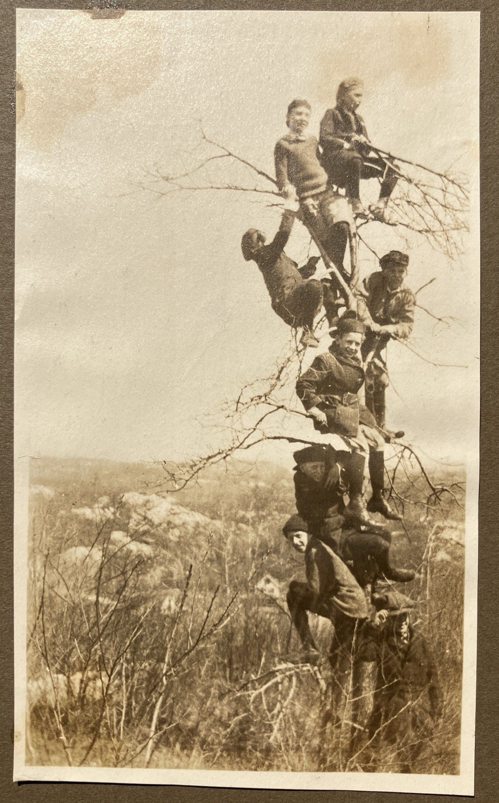 Vintage Snapshot Photo Boys Stacked Climbing Bare Tree Folder Mount c1910s