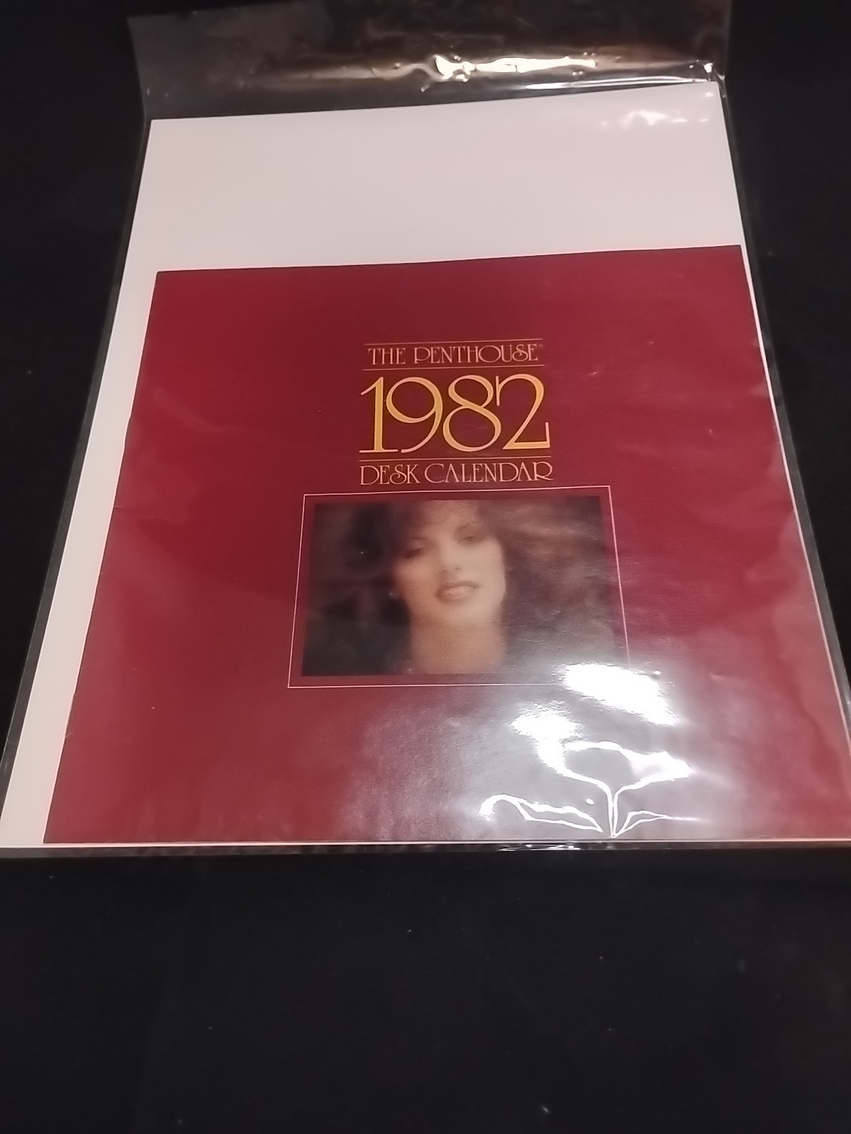 The Penthouse 1982 Desk Calendar