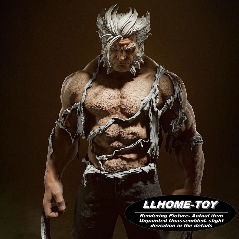 Logan Wolverine 1/6 33CM 3D Print Model Kit Unpainted Unassembled GK Figure