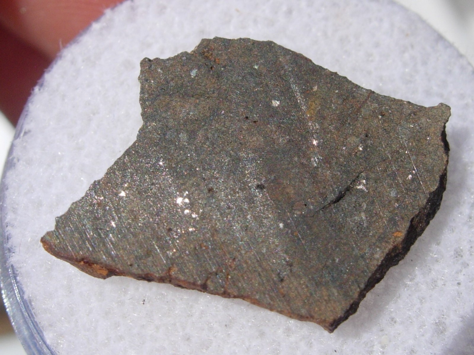 1.29 grams NWA 289 Meteorite ( PROVISIONAL ) cut fragments in Northwest Africa