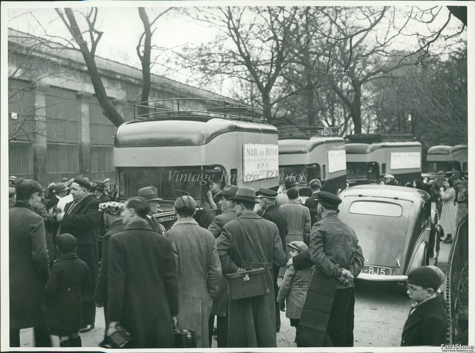 1935 Society For Protection Of Animals Jardin Des Plantes Zoo Photo 7x9