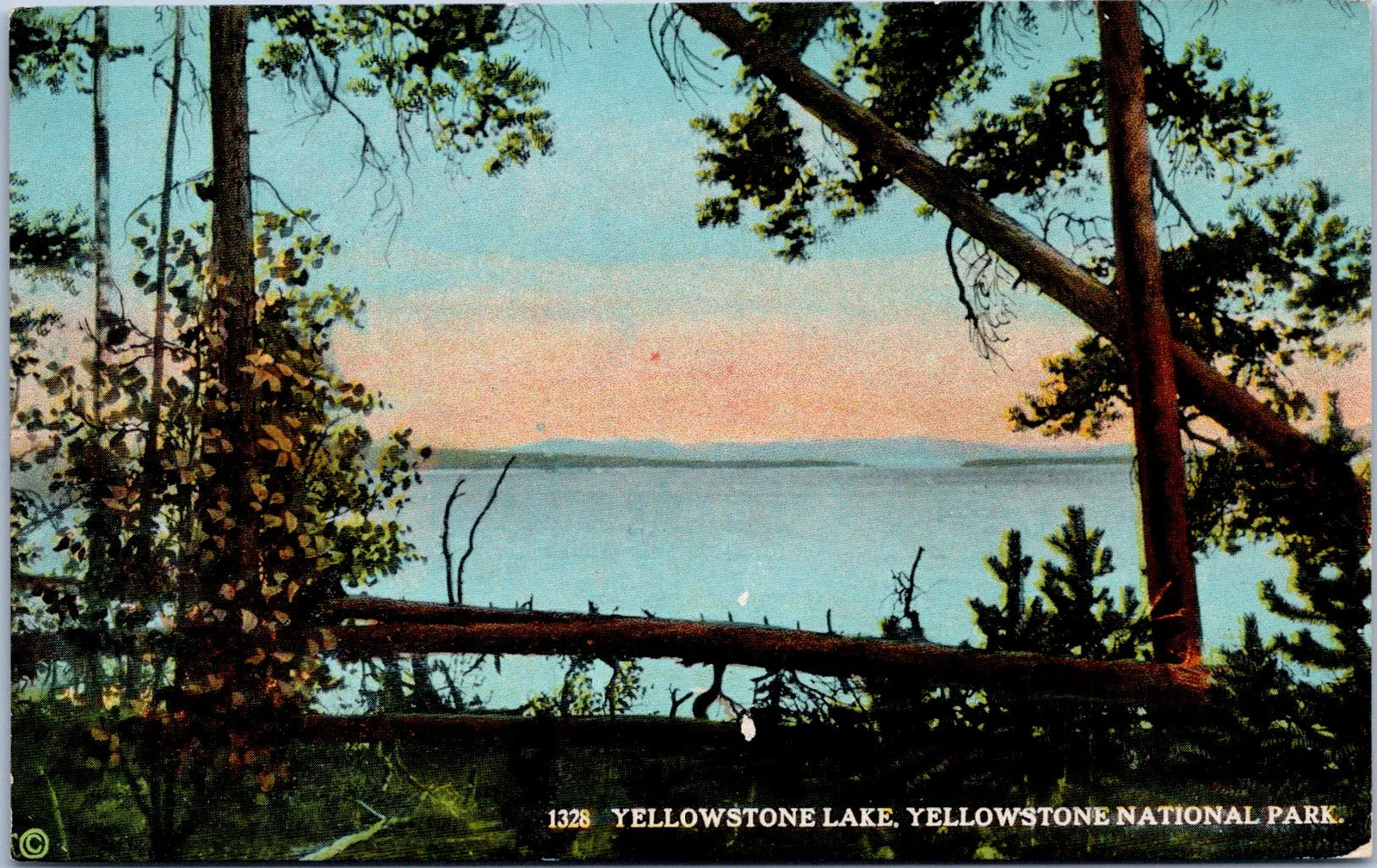Wyoming, United States - Yellowstone Lake Postcard
