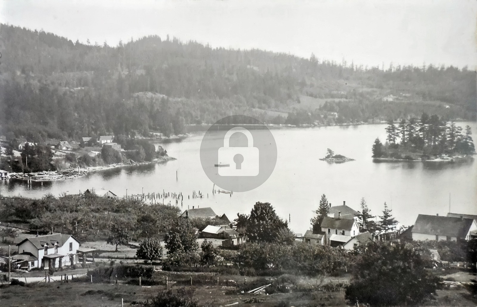 Lake Whatcom Bellingham WA Washington Houses & Island RPPC Photo Postcard COPY