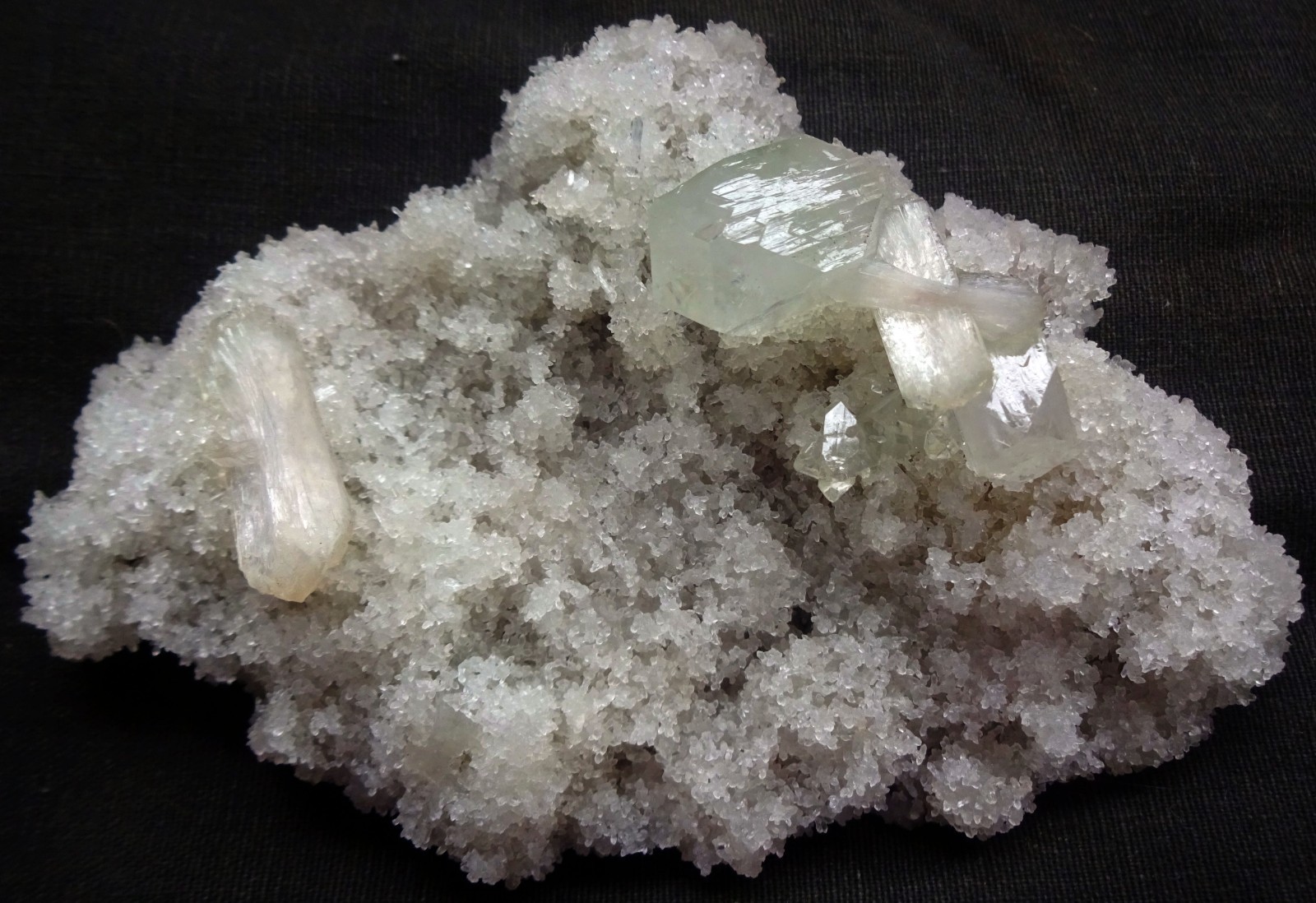STUNNING APOPHLYLITE CUBES W/ STILBITE BOWS ON CORAL CHALCEDONY FORMAT MATRIX