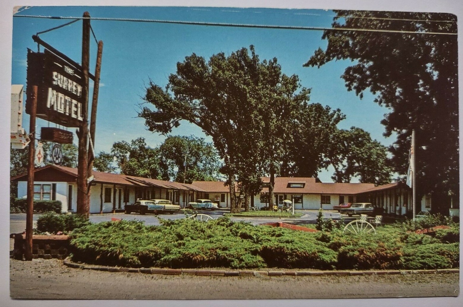 Surrey Motel Ottawa Illinois Chrome Postcard Unposted IL Vintage Cars