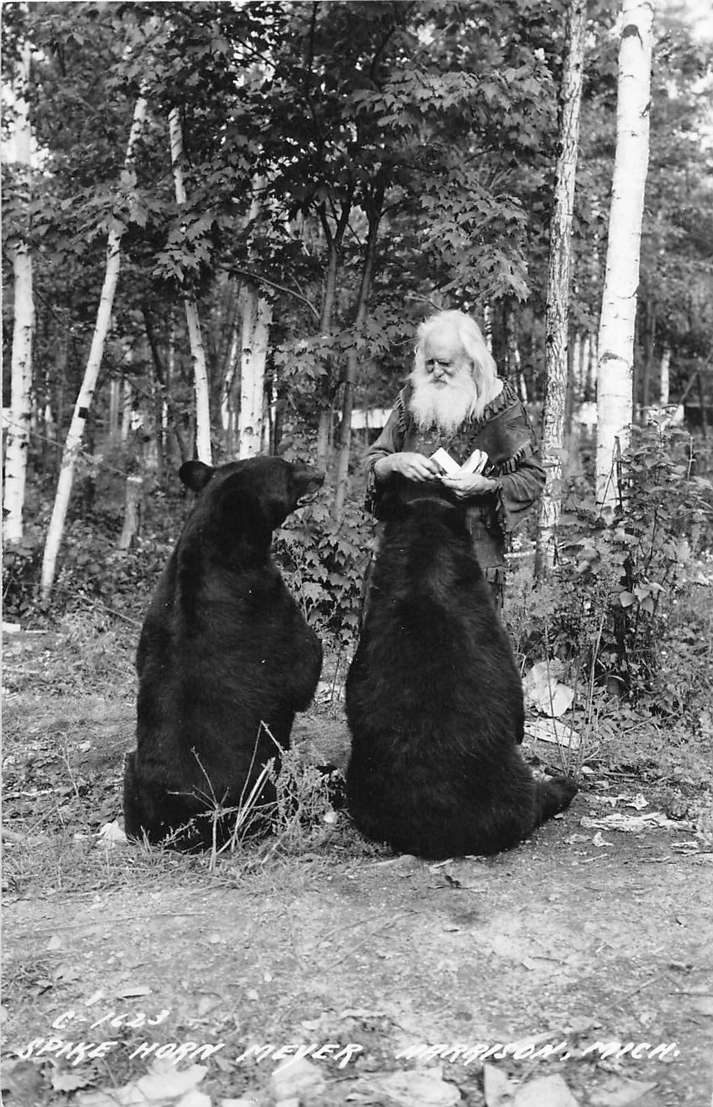 H32/ Harrison Michigan RPPC Postcard c40s Spikehorn Black Bear Den Feed 28