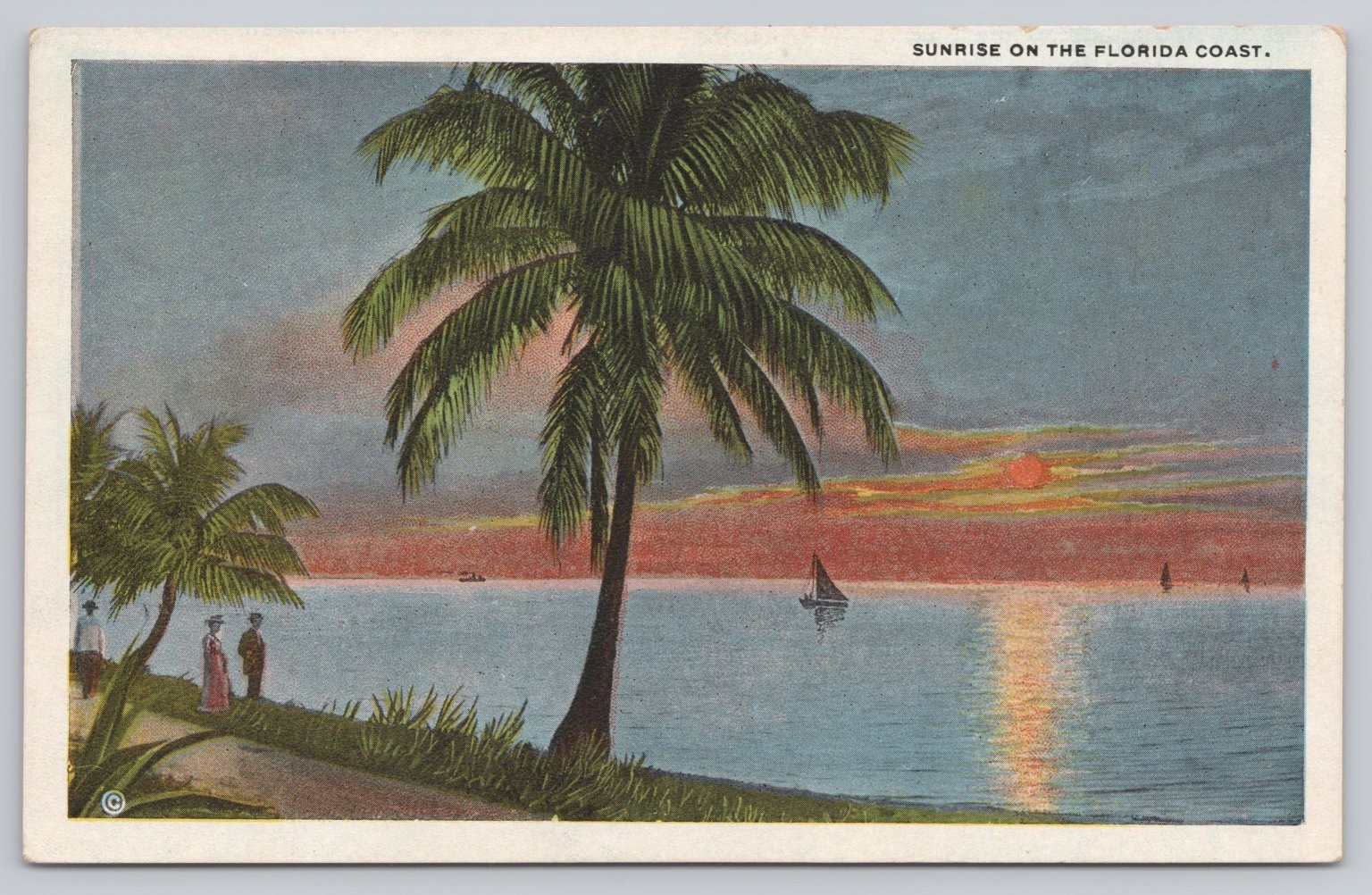 Vintage 1912 Sunrise on the Florida Coast Palm Tree Scenic Postcard