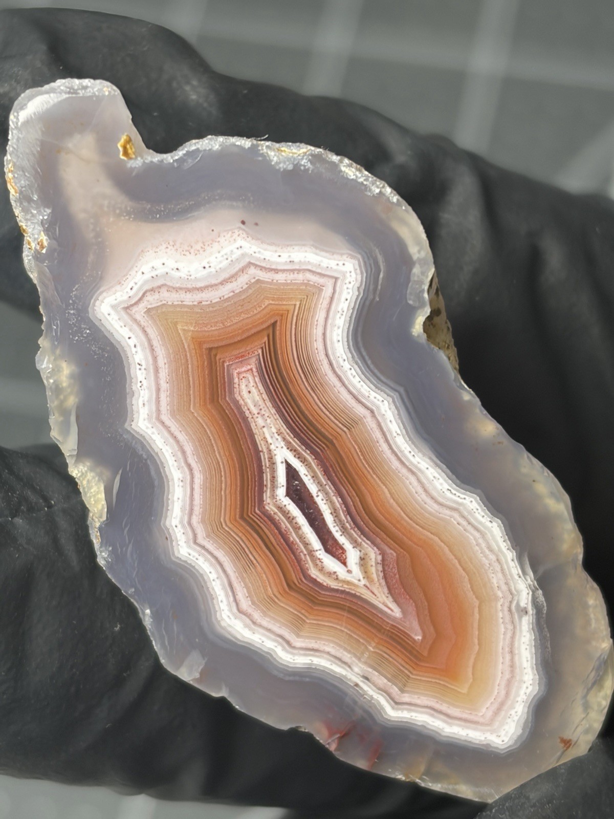 Laguna Agate Excellent Banding Mexico Polished Specimen