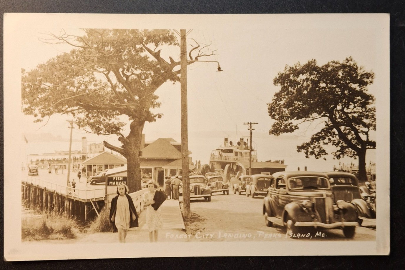 RPPC Peak's Island Maine Forest City Landing 1930s Real Photo Postcard