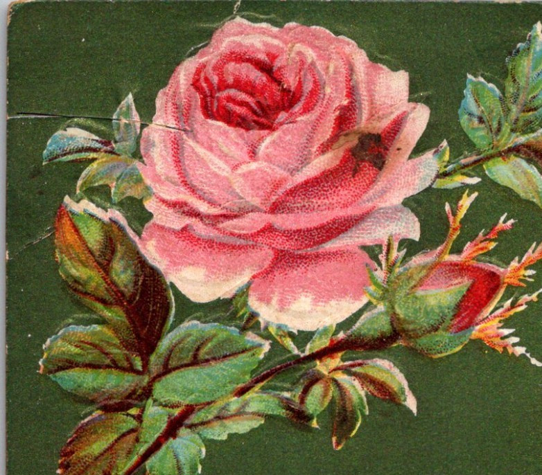 * Antique DB Postcard Loving Birthday Greetings Douglass Postcard Embossed