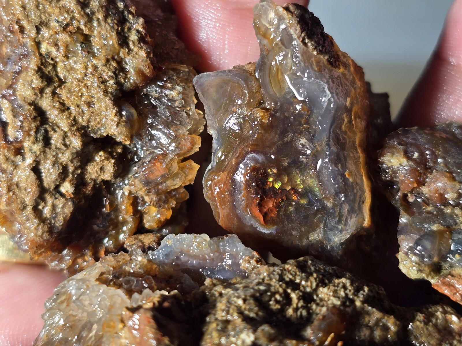 Commercial Grade Fire Agate 2 Lb Lots Fire Agate Good Potential Aguascalientes