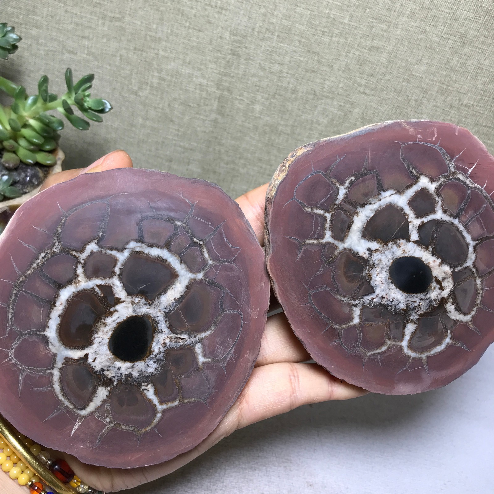 1 pair Natural Moroccan Turtle Back stone Cutting Energy specimen 733g A5651