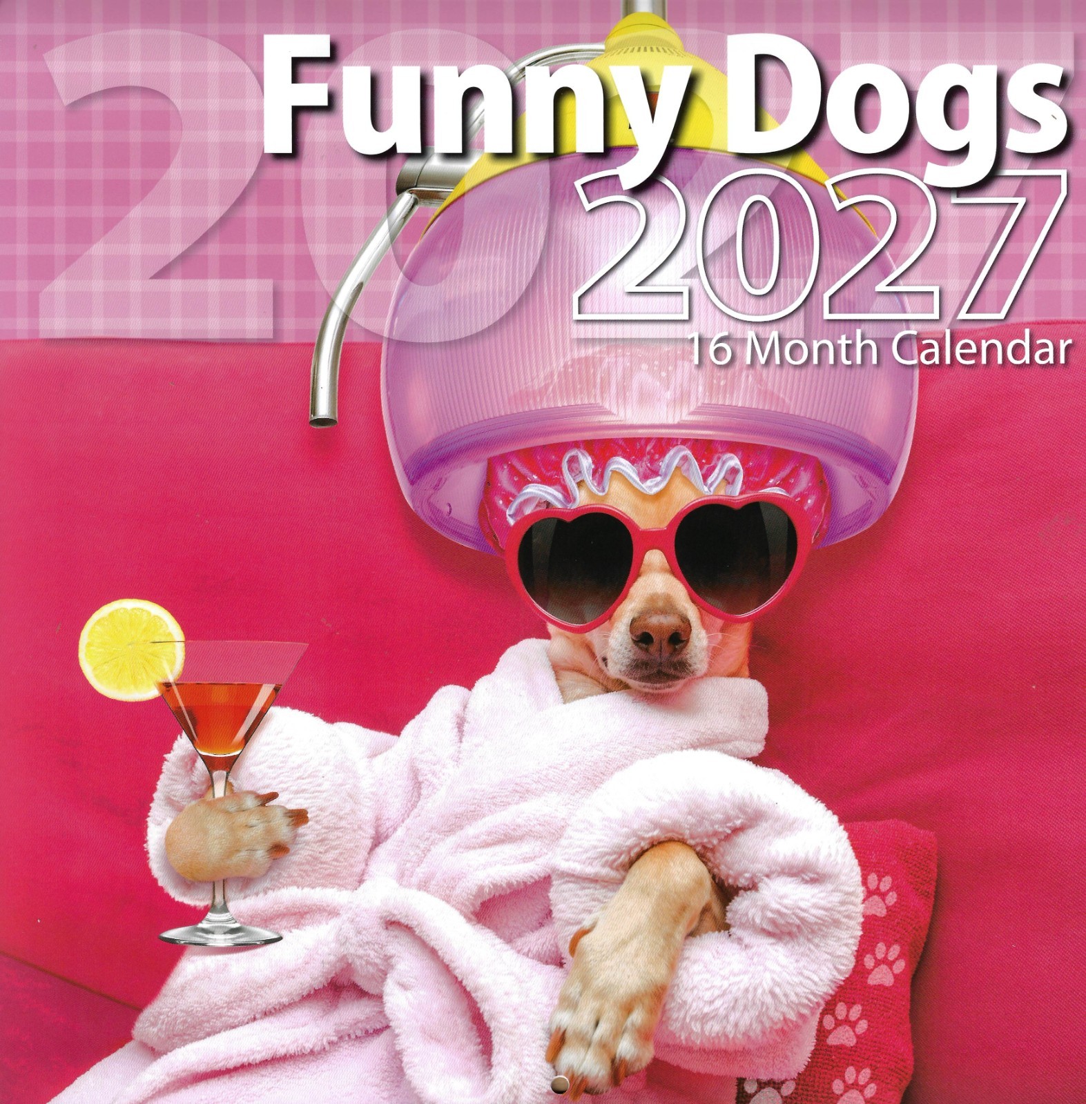2027 Funny Dogs 16-month (Sept 2026 - Dec 2027) 12\
